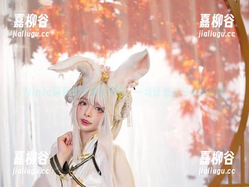 NinJa阿寨寨的黑丝作品：一场诱惑与艺术的博弈